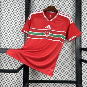 Wales - Home - World Cup 2026